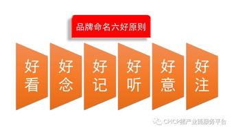 肖一刀 從無到有，打造豬肉品牌的戰略與啟示